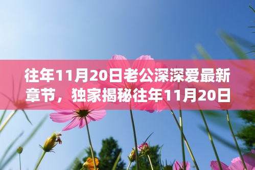 往年11月20日老公深情與高科技融合，全新智能伴侶揭秘，顛覆想象！