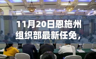 恩施州組織部最新任免動態(tài)解析及用戶群體分析，特性、體驗與競品對比報告