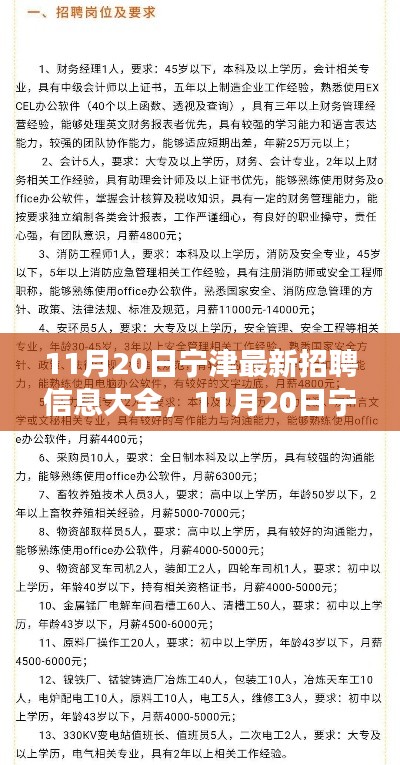 11月20日寧津最新招聘信息匯總，全面解讀招聘平臺特性與體驗