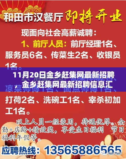 11月20日金鄉(xiāng)趕集網(wǎng)最新招聘匯總，熱點崗位解析與招聘信息