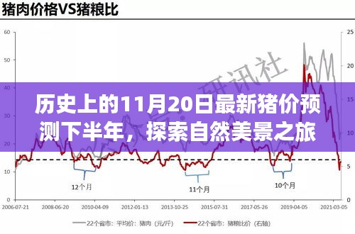 歷史上的11月20日豬價(jià)預(yù)測與心靈寧靜尋覓之旅，自然美景探索