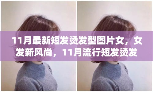 11月流行女發(fā)短燙發(fā)，全新風(fēng)尚與全攻略圖片欣賞