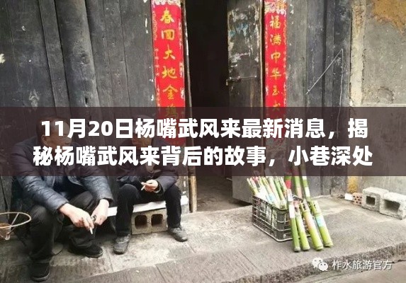 揭秘楊嘴武風來背后的故事，小巷深處的獨特風味（最新消息）