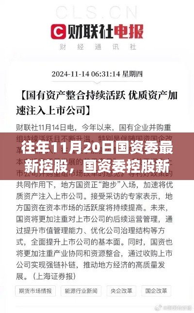 揭秘，國資委控股新紀(jì)元背后的重磅事件與影響，歷年11月20日的回顧與展望