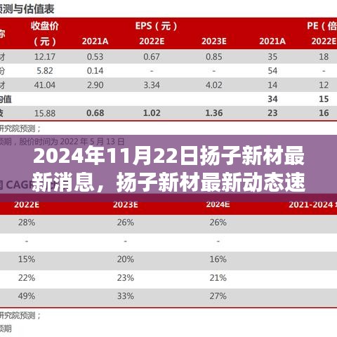 2024年11月22日揚(yáng)子新材最新消息，揚(yáng)子新材最新動(dòng)態(tài)速遞，2024年11月22日的三大看點(diǎn)