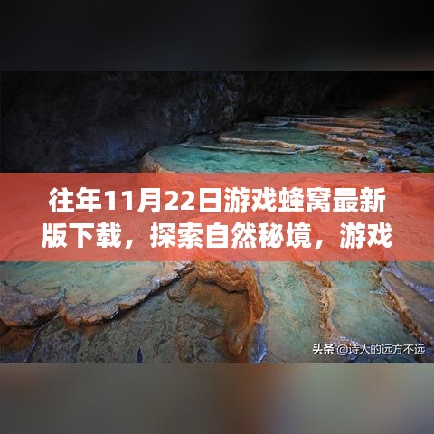 游戲蜂窩帶你探索自然秘境，最新下載，心靈平靜之旅