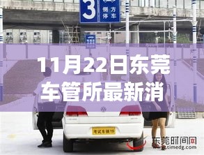 東莞車管所溫馨日常，趣事與陪伴的特別記錄（11月22日最新消息）