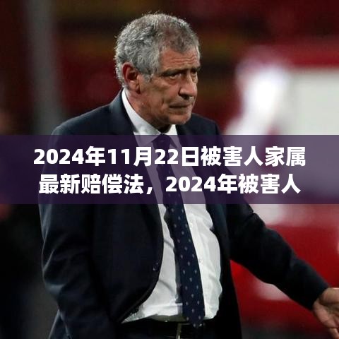 深度解讀2024年被害人家屬賠償法，背景、進展與影響