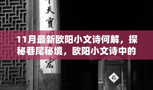 歐陽小文詩探秘巷尾秘境，揭秘新解與隱藏佳肴