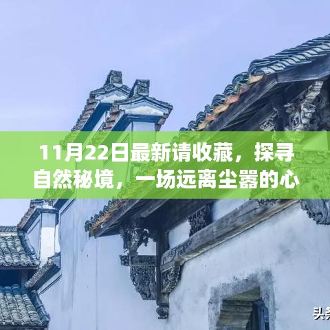 11月22日探尋自然秘境之旅，心靈啟程，珍藏美好瞬間