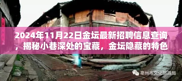 揭秘金壇隱藏特色小店與最新招聘信息奇遇記，2024年11月22日金壇招聘信息深度查詢