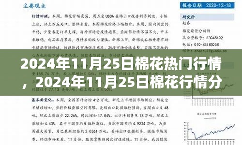 棉花行情深度解析，從入門到精通——2024年11月25日棉花行情指南