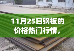 11月25日鋼板價格行情深度解析，市場波動與多方觀點透視