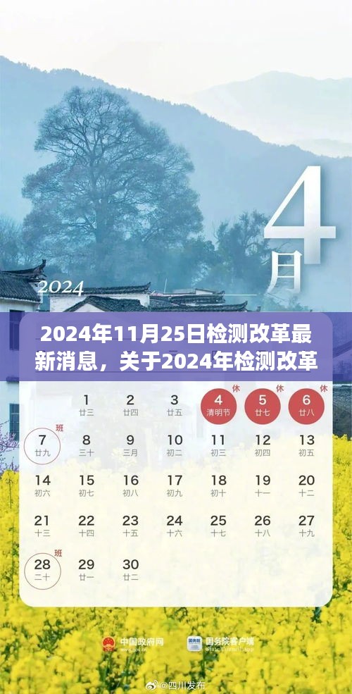 2024年檢測改革最新動態(tài)全面解讀與深度分析