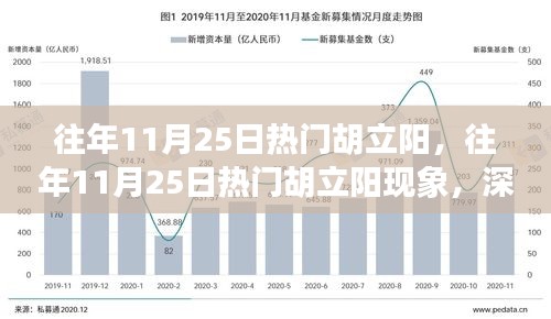 深度解析與觀點闡述，胡立陽現(xiàn)象——歷年11月25日的熱門焦點