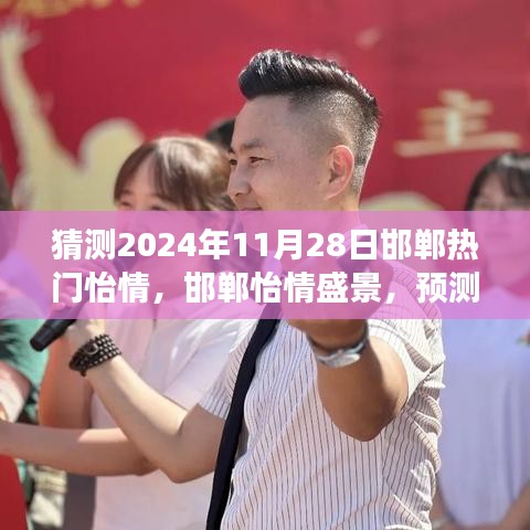 2024年11月28日邯鄲怡情盛景預(yù)測與回顧，城市脈動揭秘