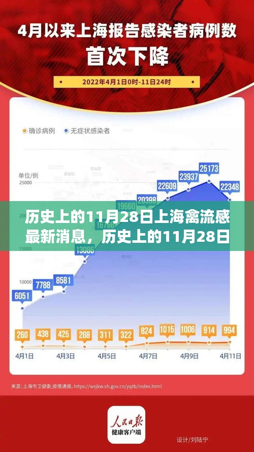 歷史上的11月28日上海禽流感及其平息后的自然探索之旅尋找內(nèi)心寧?kù)o