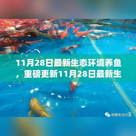 揭秘最新生態(tài)環(huán)境養(yǎng)魚秘籍，打造生態(tài)魚池新境界！