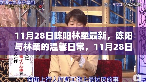 陳陽林柔的溫馨日常，11月28日的快樂時(shí)光記錄