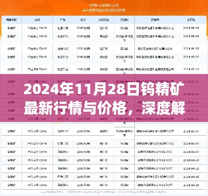 深度解析，2024年11月28日鎢精礦最新行情與價(jià)格展望