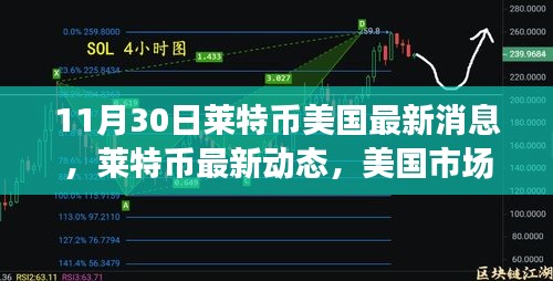 萊特幣美國最新動態(tài)分析，市場趨勢下的正反觀點探討（11月30日）