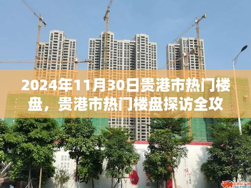 貴港市熱門樓盤探訪全攻略，購房指南（2024年11月30日）