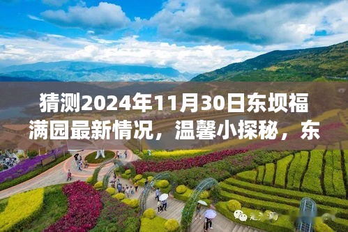 東壩福滿園未來展望，溫馨小探秘與明日奇遇揭秘（最新預(yù)測）