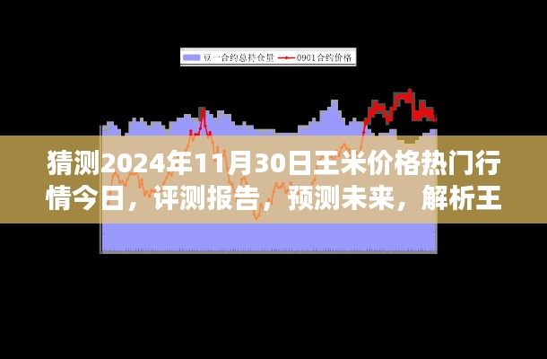 獨(dú)家解析，王米價(jià)格行情預(yù)測(cè)至2024年11月30日，今日熱門行情與未來展望評(píng)測(cè)報(bào)告