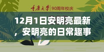 安明亮日常趣事，溫馨時光回顧，12月1日的精彩瞬間