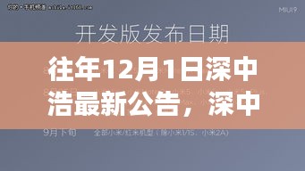 深中浩歷年公告深度解析，背景、事件與領(lǐng)域地位回顧之最新公告解讀