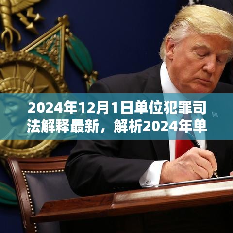 深度解析，2024年單位犯罪司法解釋最新動態(tài)及三大要點探討