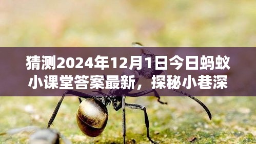 探秘螞蟻小課堂答案背后的神秘小店，2024年12月1日小巷深處的獨(dú)特風(fēng)味揭曉