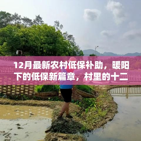 農(nóng)村低保補助新篇章，暖陽下的十二月溫情紀(jì)事