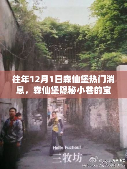 揭秘森仙堡隱秘小巷寶藏，十二月一日獨家新聞與特色小店的非凡魅力