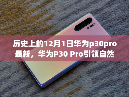 華為P30 Pro引領(lǐng)自然探索之旅，一場(chǎng)歷史與科技的奇妙旅程（最新資訊）