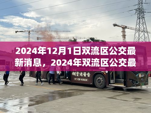 2024年雙流區(qū)公交最新消息詳解，獲取與使用公交服務(wù)的全面指南