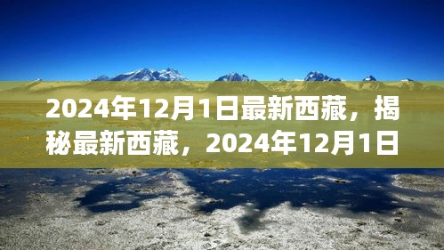 揭秘最新西藏，2024年西藏之旅的精彩瞬間（獨(dú)家報道）