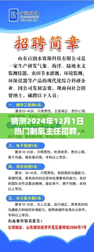 把握未來，挑戰(zhàn)熱門制氧主任崗位，2024年招聘展望與自我超越之路