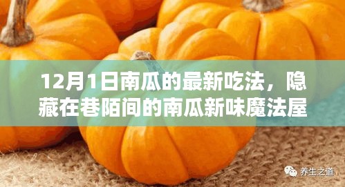 12月1日南瓜新味魔法屋，探秘南瓜盛宴的隱藏魅力