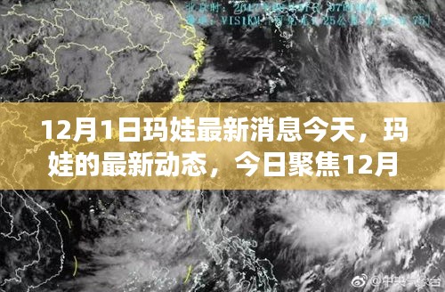 聚焦今日，瑪娃最新動態(tài) 12月1日消息