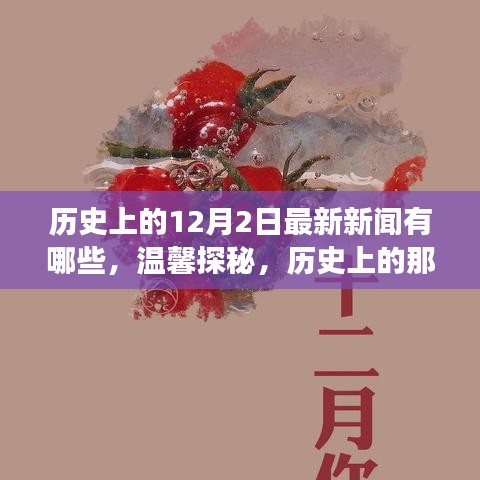 溫馨探秘，歷史上的十二月二日最新新聞與日常小故事回顧