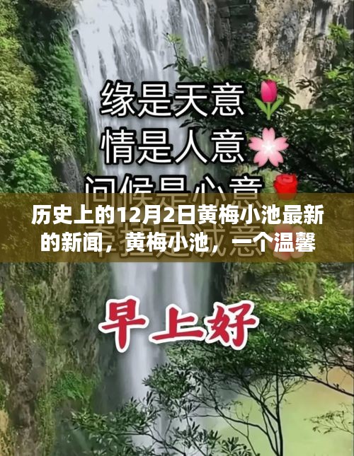 黃梅小池，溫馨日常與愛(ài)的紐帶——?dú)v史上的今天新聞回顧，12月2日的愛(ài)與陪伴故事