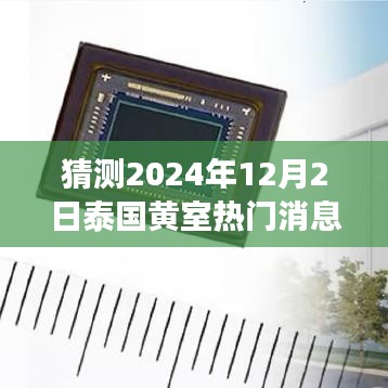 泰國黃室風(fēng)云揭秘，學(xué)習(xí)變革與夢想實現(xiàn)，2024年12月2日的輝煌展望