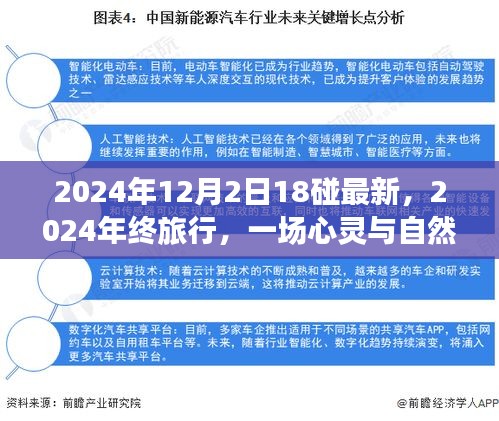 心靈與自然的碰撞，2024年終旅行記