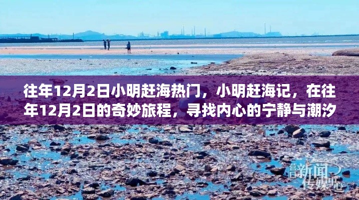 小明趕海記，尋找潮汐之聲與內(nèi)心的寧靜之旅