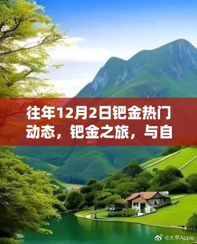 鈀金之旅，與自然美景相遇，探尋內(nèi)心寧靜的熱門動態(tài)回顧