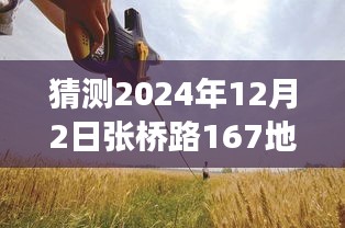 張橋路167地塊，溫馨日常的預(yù)測(cè)與小故事的美好展望（2024年12月2日）