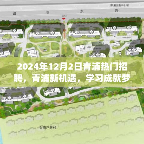 2024年12月2日青浦熱門招聘啟幕，新機(jī)遇助力學(xué)習(xí)成就夢(mèng)想