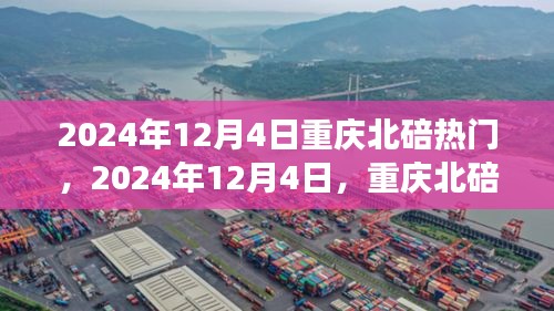 2024年12月4日重慶北碚之旅，探尋自然美景，重拾心靈寧靜