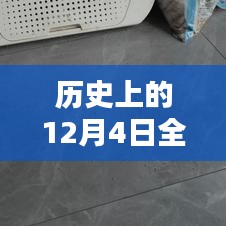 歷史上的12月4日全網最新貓咪產品評測與介紹專題文章